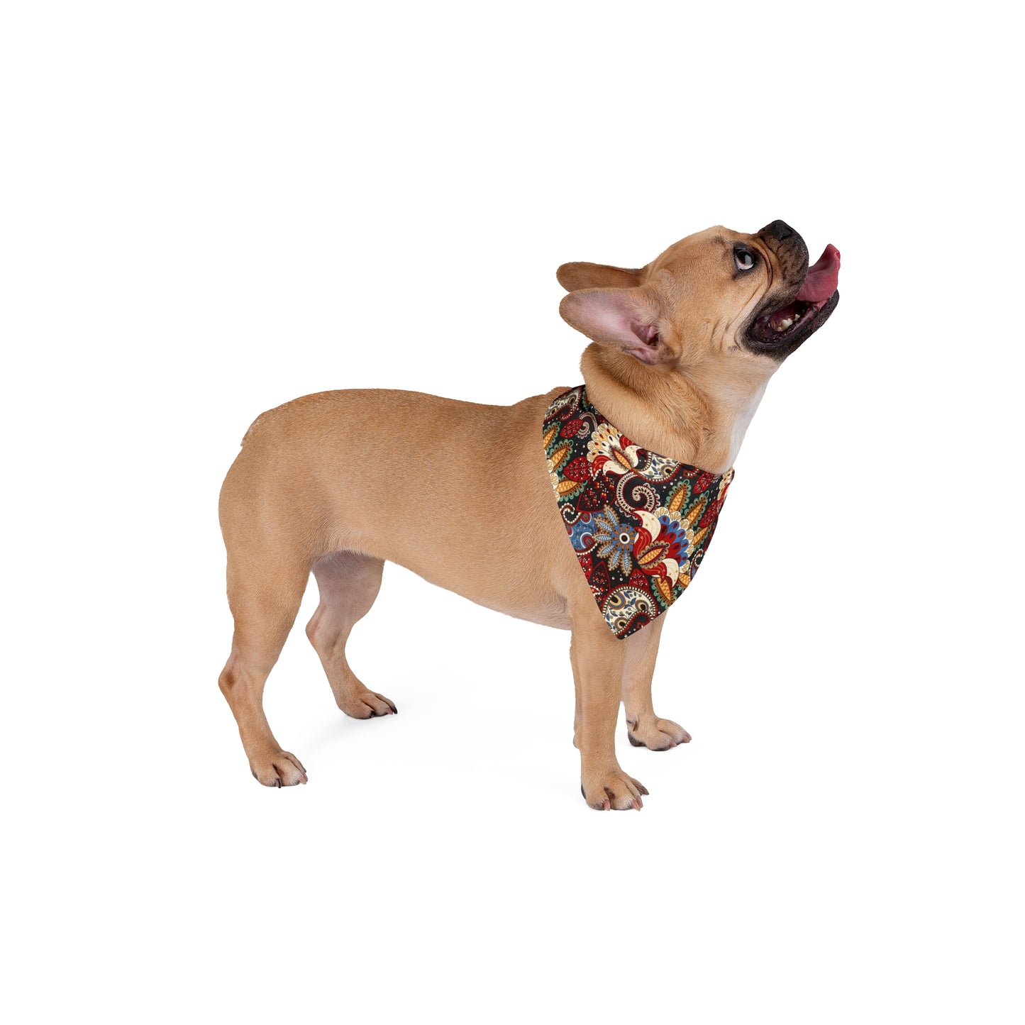 Paisley Elegance Dog Bandana / Wild Rag