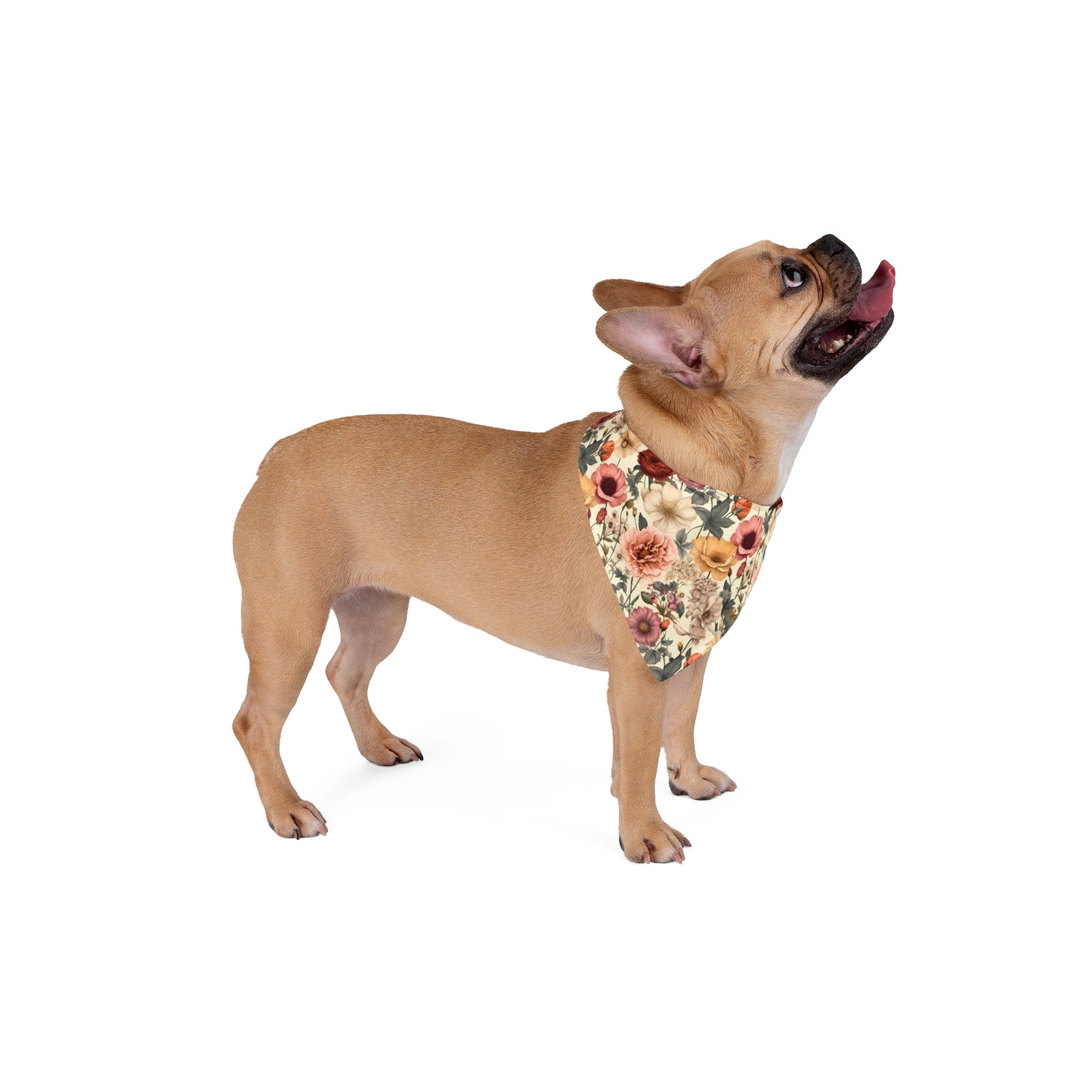 Embrace vintage charm with our Vintage Petals Dog Bandana/Wild Rag. Realistic flowers in shades of sand, cream, orange, and yellows create a muted, old-style elegance. Crafted from soft-spun polyester, this wild rag ensures comfort and style. Make a statement on every adventure with this exclusive design, available only at Eliza Singer.