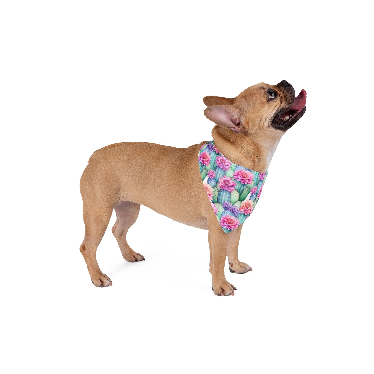 Embrace the spirit of the desert with our Desert Bloom Dog Bandana/Wild Rag. Cacti in bloom with pink flowers create a lively and southwestern-inspired look. Crafted from soft-spun polyester, this wild rag ensures comfort and style during every adventure. Make a statement on sunny days with this exclusive design, available only at Eliza Singer.