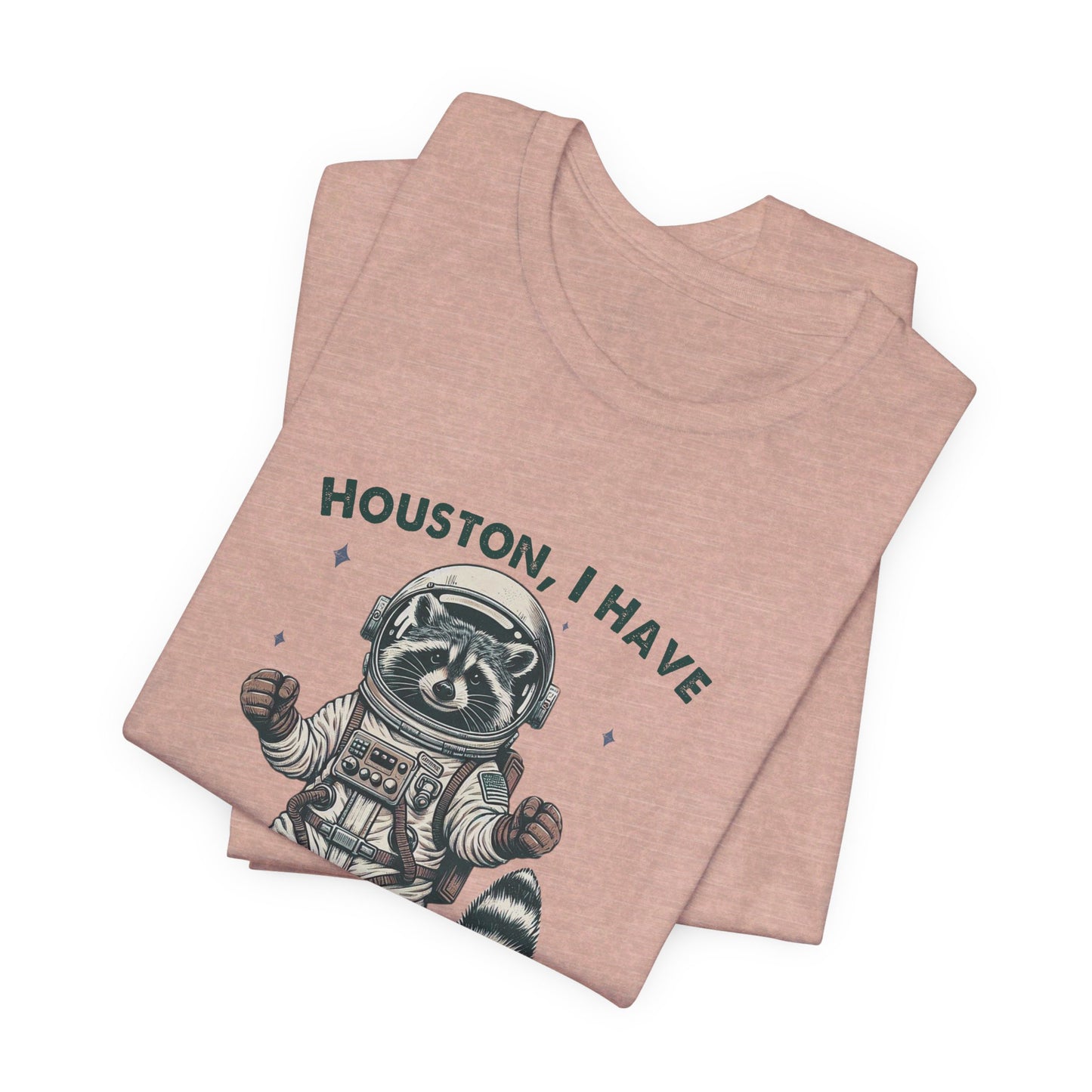 Houston Problems: Bella Canvas T-shirt with Raccoon Astronaut
