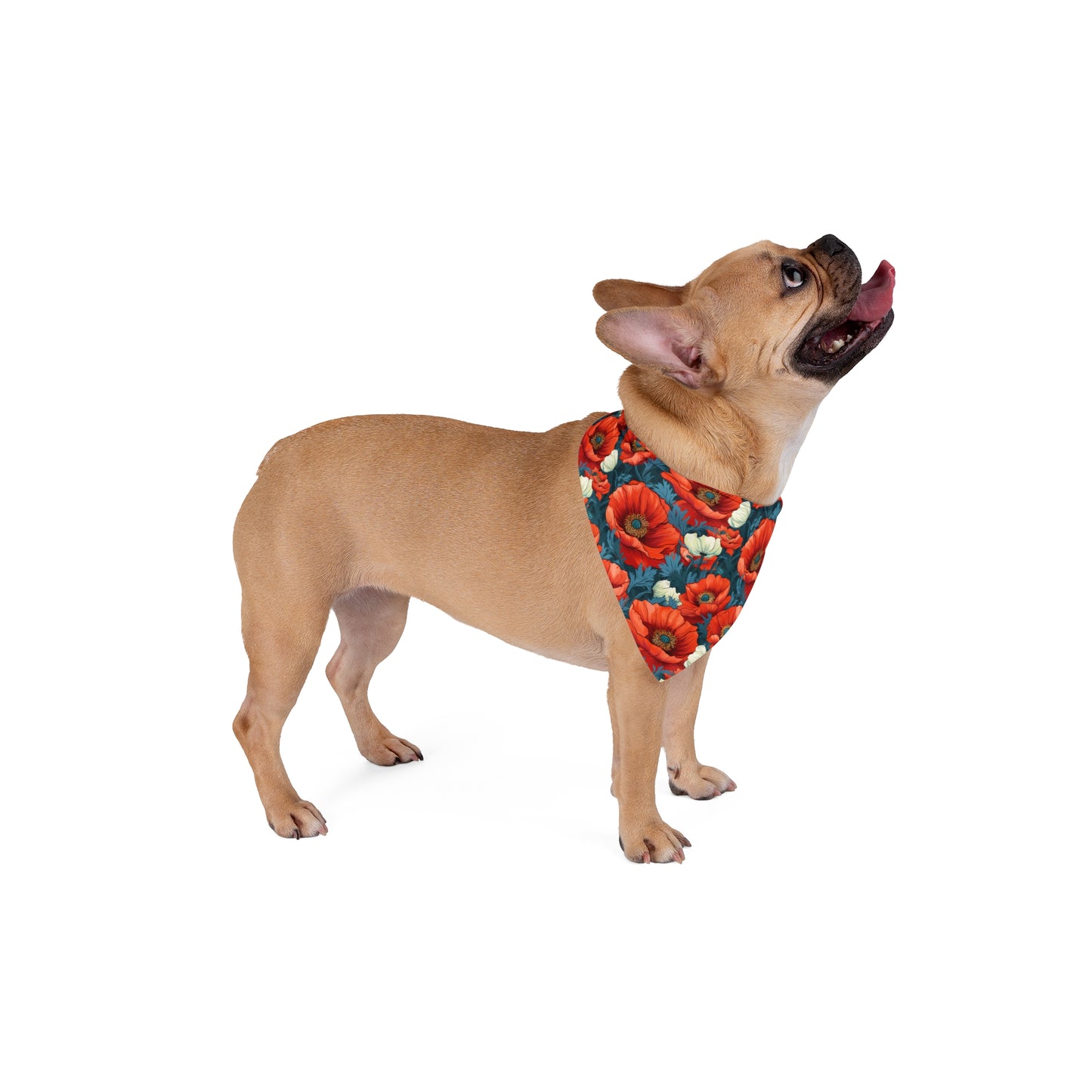 "Step into a field of vibrant charm with our Poppy Fields Dog Bandana/Wild Rag. Red poppies with touches of white on a vibrant blue background create a lively and eye-catching look. Crafted from soft-spun polyester, this bandana/wild rag ensures both comfort and durability. Explore exclusive pet fashion at Eliza Singer, where each piece is a celebration of nature's vibrant beauty, designed for the discerning pet enthusiast.