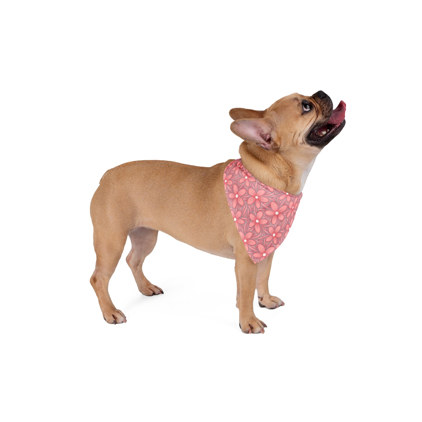 Infuse a touch of femininity into your dog's wardrobe with our Lilac Bloom Dog Bandana/Wild Rag. The light lilac background adorned with muted coral daisy-style flowers creates a girly and charming look. Crafted from soft-spun polyester, this wild rag ensures comfort and style. Make every outing a stylish affair with this exclusive design, available only at Eliza Singer.