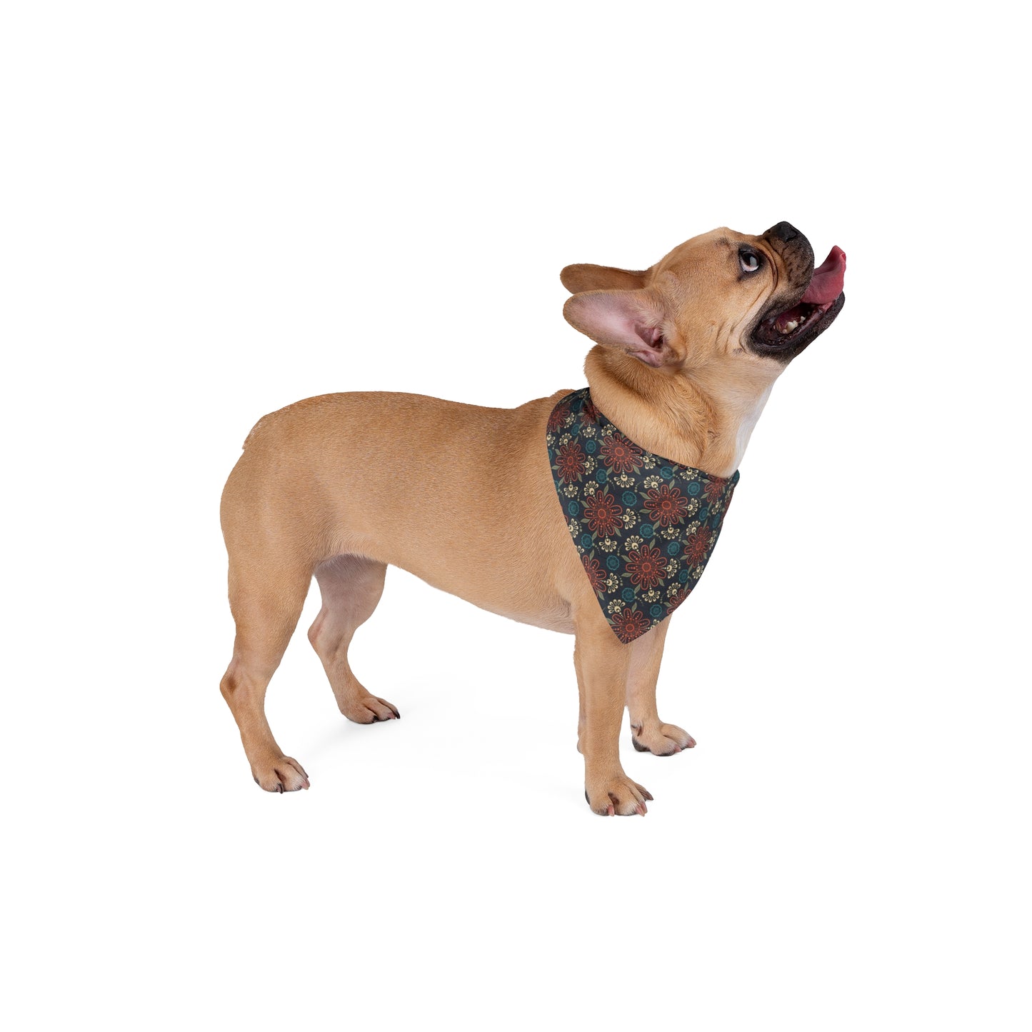 Unleash a touch of mystique with our Mystical Mandalas Dog Bandana/Wild Rag. The muted dark red, blue, and sand mandalas on a dark background create an intriguing and captivating look. Crafted from soft-spun polyester, this wild rag ensures comfort and style. Make every outdoor escapade enchanting with this exclusive design, available only at Eliza Singer.
