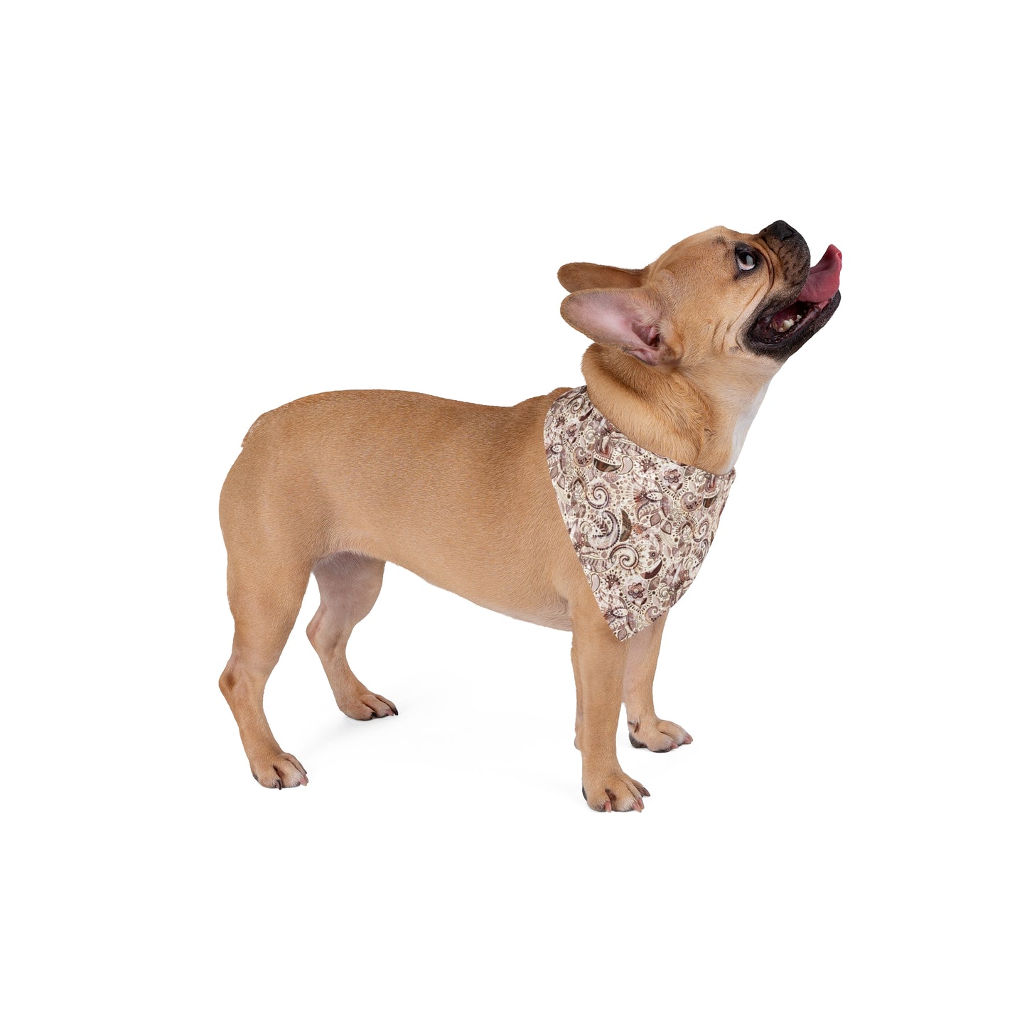 Bring a touch of warmth to your dog's look with our Sandstone Paisley Dog Bandana/Wild Rag. The light paisley design on a sand background, featuring darker shades of brown, adds a subtle and elegant touch. Crafted from soft-spun polyester, this wild rag ensures comfort and style. Make every outing a stylish affair with this exclusive design, available only at Eliza Singer.