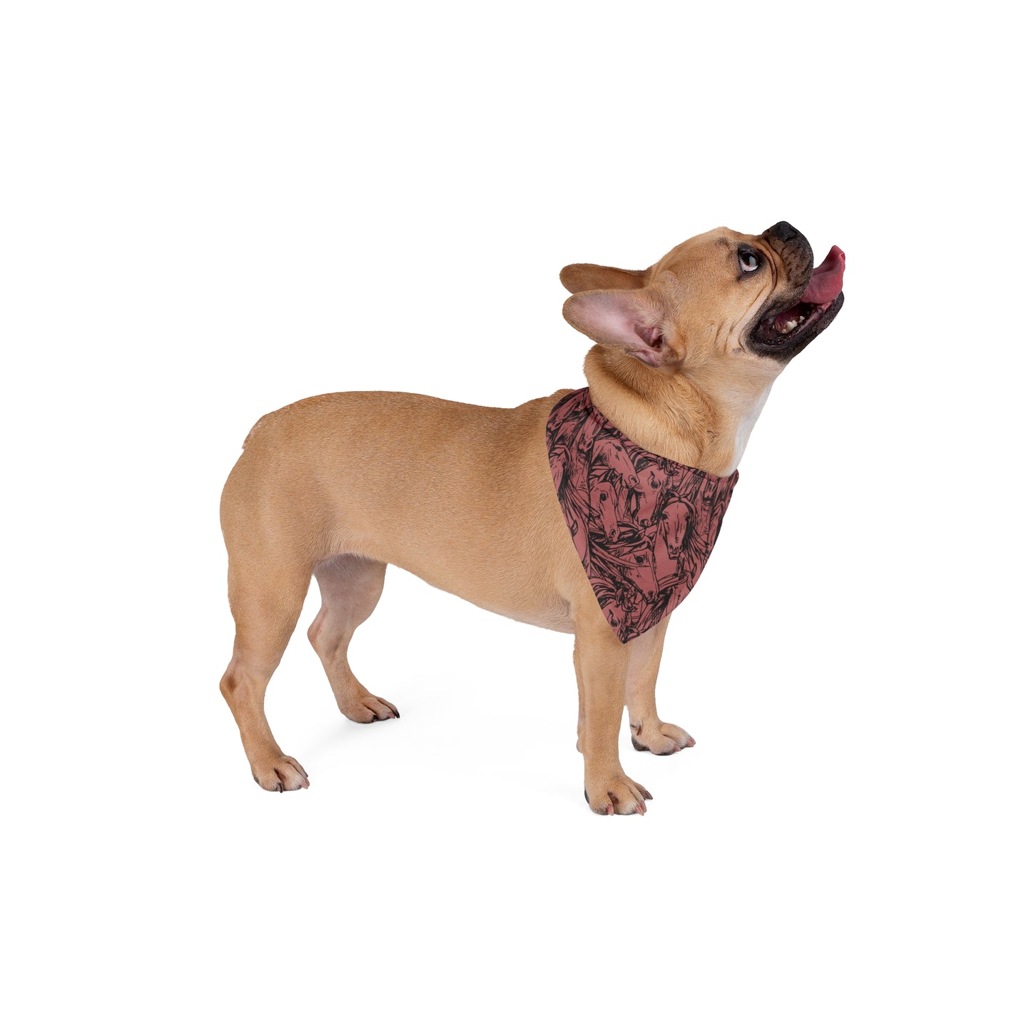 Unleash the elegance of horses with our Equine Elegance Dog Bandana/Wild Rag. The ink sketch of horse heads on a dark coral background adds a touch of sophistication to your pup's look. Crafted from soft-spun polyester, this wild rag ensures comfort and style. Let your dog showcase their love for equine beauty with this exclusive design, available only at Eliza Singer.