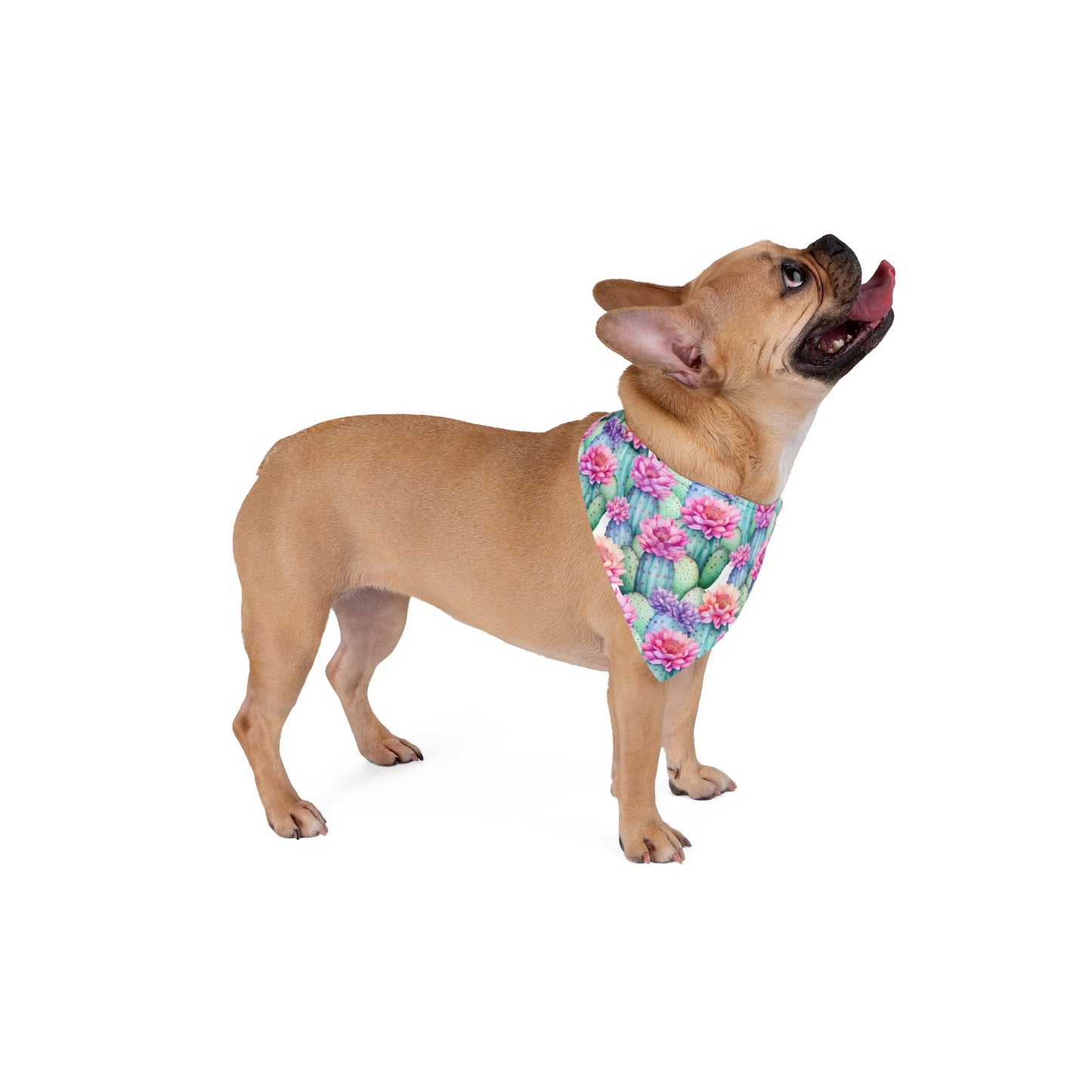 Embrace the spirit of the desert with our Desert Bloom Dog Bandana/Wild Rag. Cacti in bloom with pink flowers create a lively and southwestern-inspired look. Crafted from soft-spun polyester, this wild rag ensures comfort and style during every adventure. Make a statement on sunny days with this exclusive design, available only at Eliza Singer.