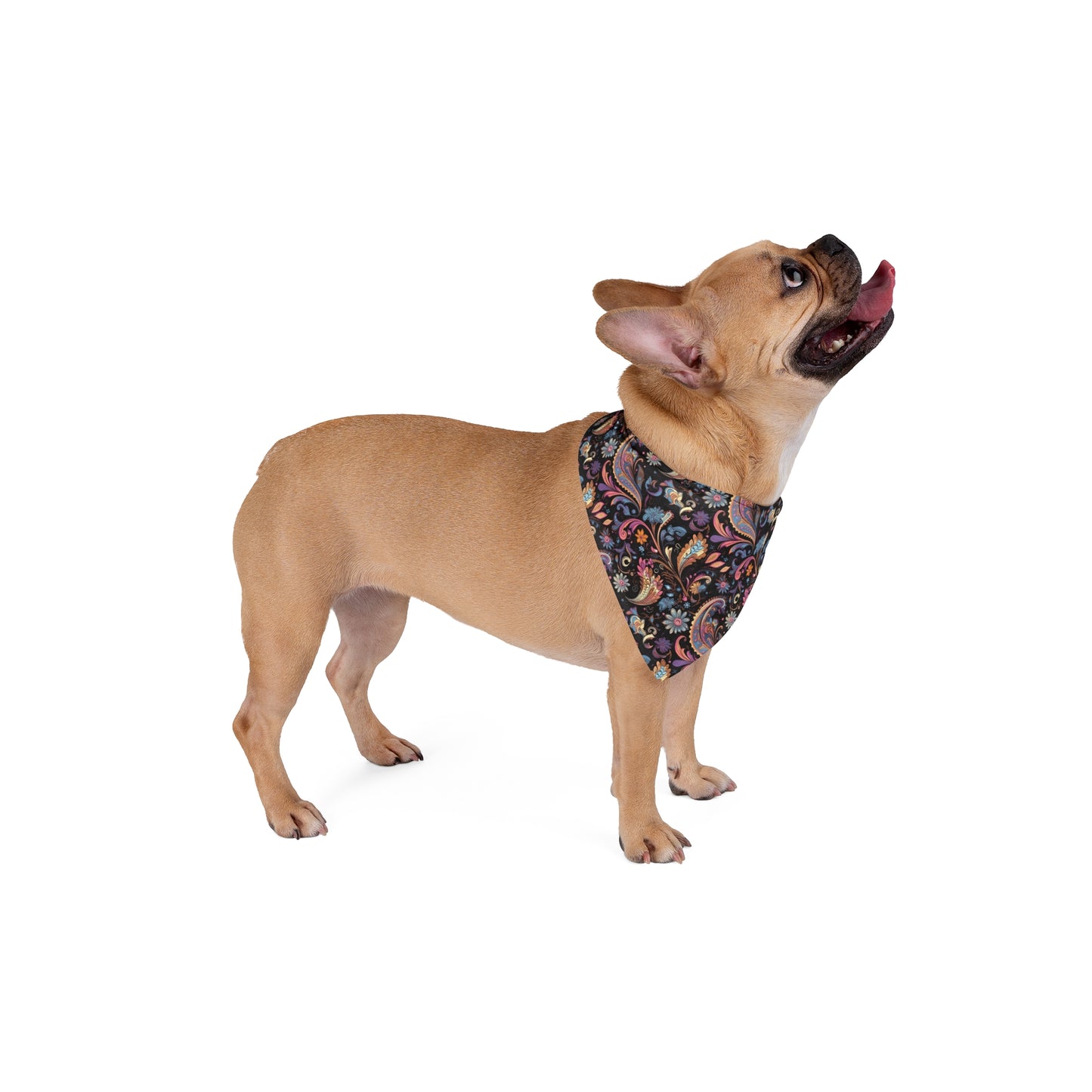 Embark on a journey of paisley dreams with our Paisley Dream Dog Bandana/Wild Rag. A paisley-style design on a dark background, featuring shades of soft purples, pinks, and touches of peach, creates a sophisticated and timeless accessory. Crafted from soft-spun polyester, this bandana/wild rag ensures both comfort and durability. Explore exclusive pet fashion at Eliza Singer, where each piece is a celebration of individuality and craftsmanship, designed for the discerning pet enthusiast.