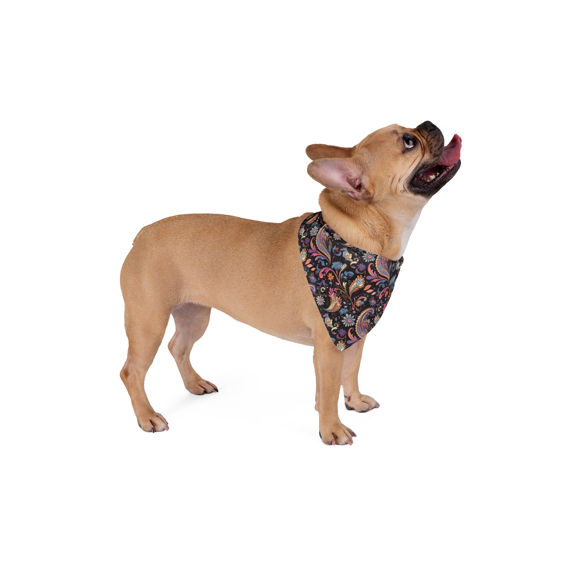 Embark on a journey of paisley dreams with our Paisley Dream Dog Bandana/Wild Rag. A paisley-style design on a dark background, featuring shades of soft purples, pinks, and touches of peach, creates a sophisticated and timeless accessory. Crafted from soft-spun polyester, this bandana/wild rag ensures both comfort and durability. Explore exclusive pet fashion at Eliza Singer, where each piece is a celebration of individuality and craftsmanship, designed for the discerning pet enthusiast.