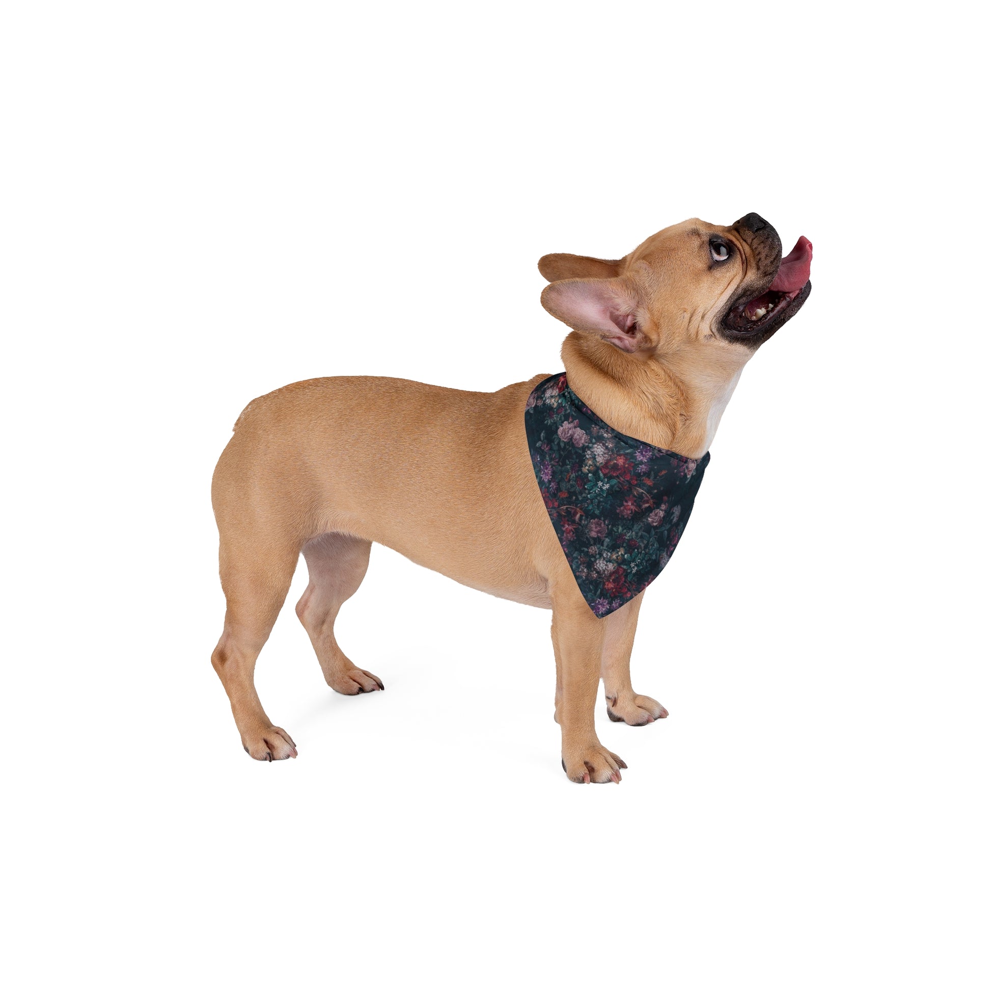 Take your pup on a journey through a Moody English Garden with our Dog Bandana/Wild Rag. Muted English garden style flowers in rich colors on a dark background create an elegant and sophisticated look. Crafted from soft-spun polyester, this wild rag ensures comfort and style. Also available for humans, exclusively at Eliza Singer. 
