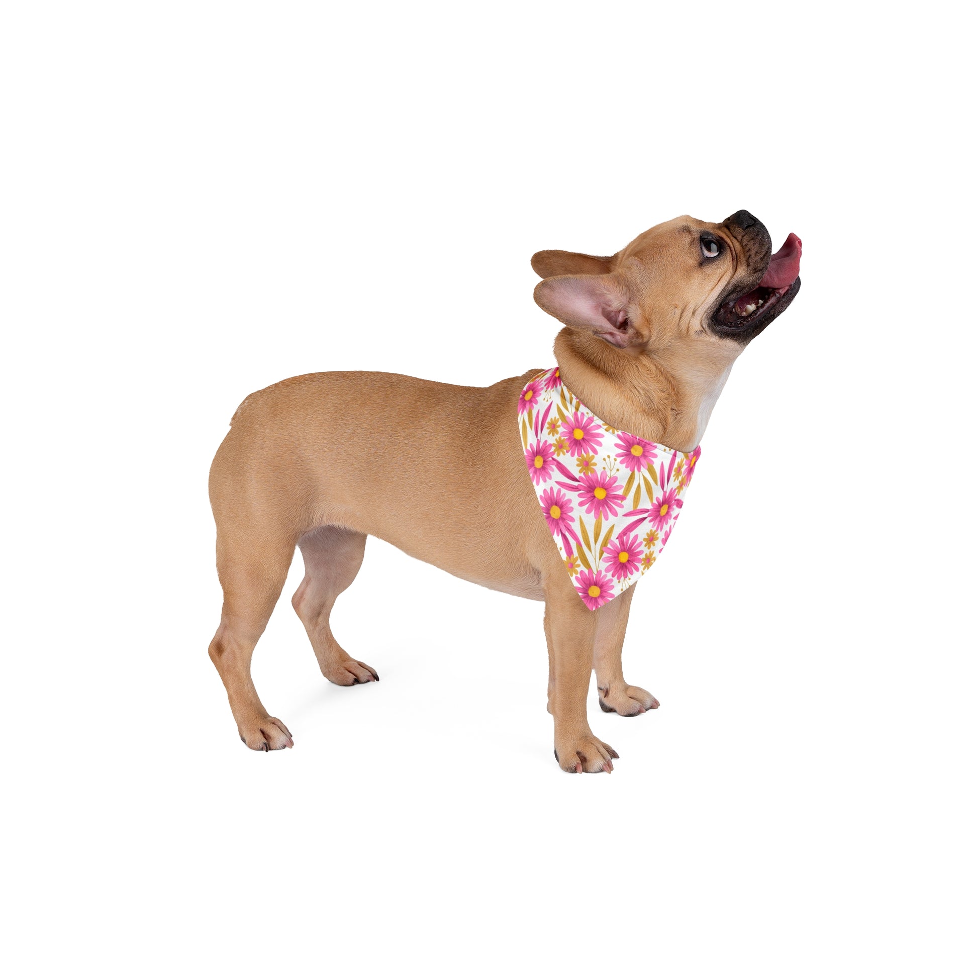 Add a pop of color to your dog's style with our Pink Daisy Delight Dog Bandana/Wild Rag. The white background with fun bright pink daisies creates a cheerful and vibrant look. Crafted from soft-spun polyester, this wild rag ensures comfort and style. Make your pup stand out with this exclusive design, available only at Eliza Singer. 