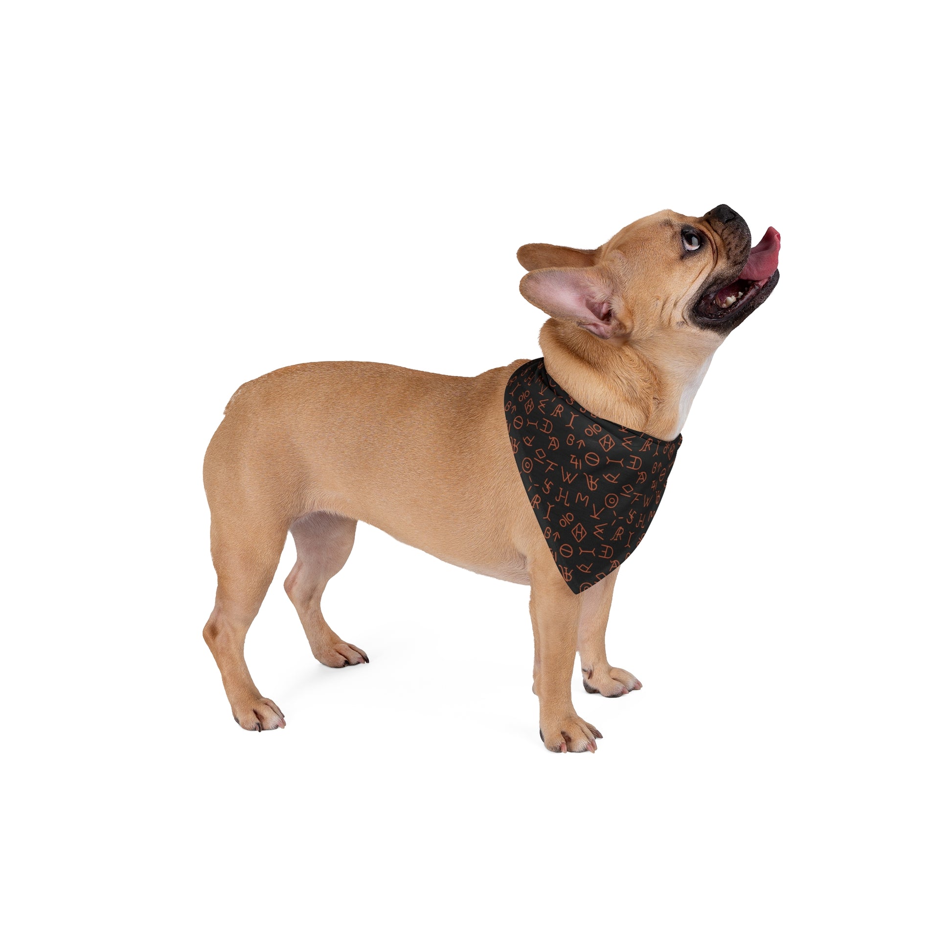 Step into the realm of Western elegance with our Brandished Elegance Dog Bandana/Wild Rag. The black background adorned with orange cattle brands creates a statement of strength and style. Also available in human wild rags, exclusively crafted at Eliza Singer for a matching ensemble.