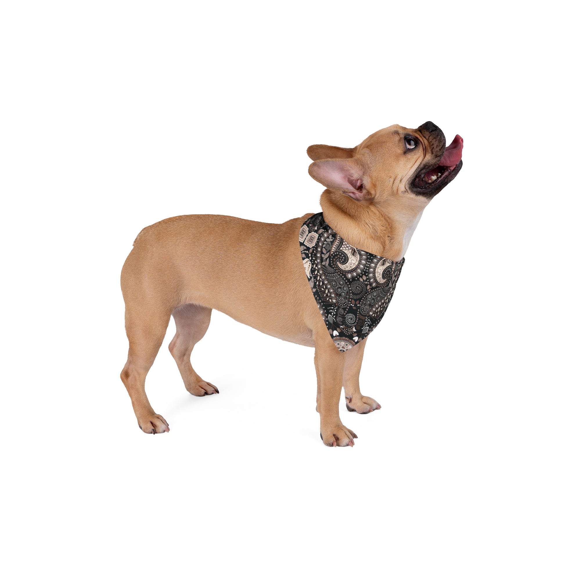 Elevate your dog's style with our Classic Elegance Dog Bandana/Wild Rag. The masculine and classy paisley design in black and sand adds a touch of sophistication to any ensemble. Crafted from soft-spun polyester, this wild rag ensures comfort and durability. Make every outing a stylish affair with this exclusive design, available only at Eliza Singer.