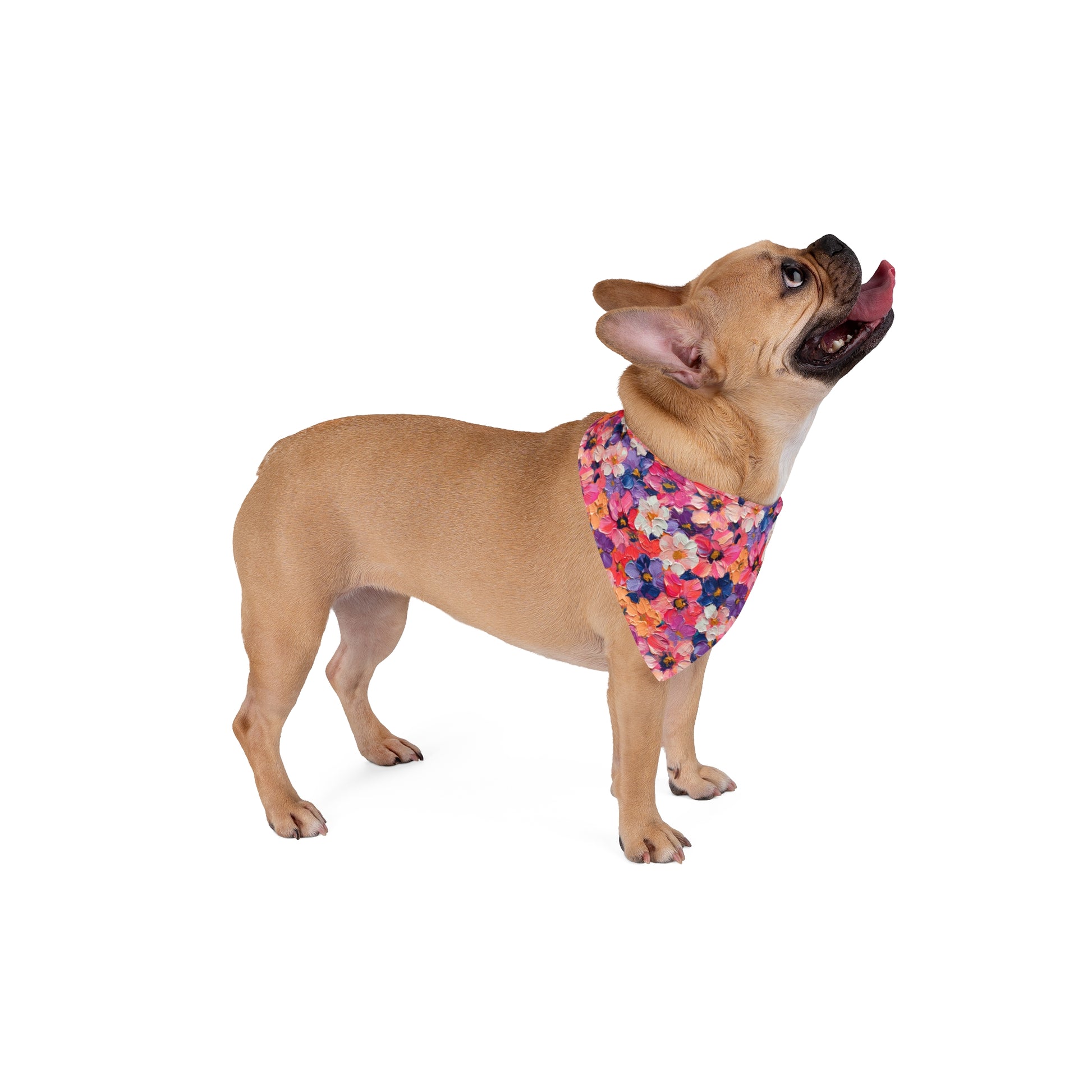 Unleash your dog's inner artist with our Artistic Bloom Dog Bandana/Wild Rag. The oil-painted flowers create a unique and vibrant look. Crafted from soft-spun polyester, this wild rag ensures comfort and style. Elevate your pup's fashion with this exclusive design, available only at Eliza Singer.